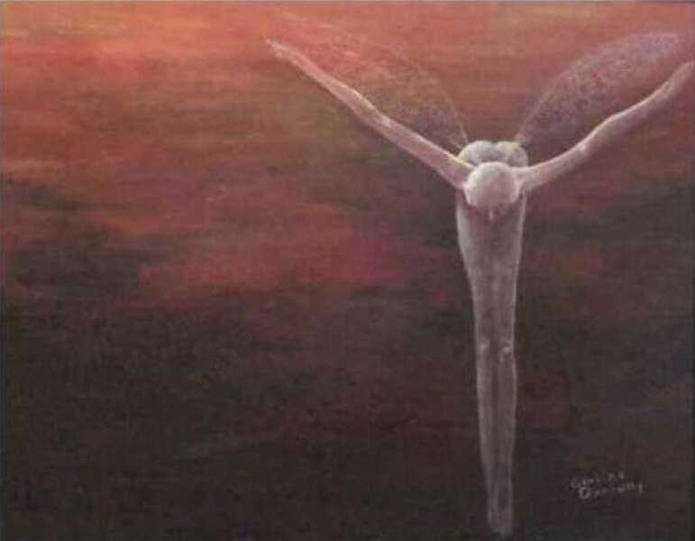 "Gossamer Wings" & its poem